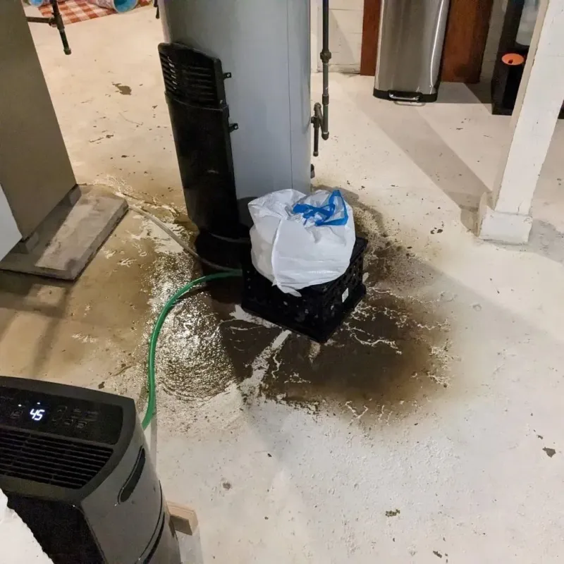 Sewage Backup Cleanup Service in Lesslie, SC